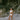 Thong Bottoms by Akua Swim, view 7