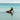 The Classic by Akua Swim, view 2