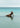 The Classic by Akua Swim, view 2